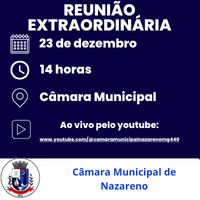 Oitava Reunião Extraordinária